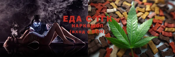 индика Нязепетровск