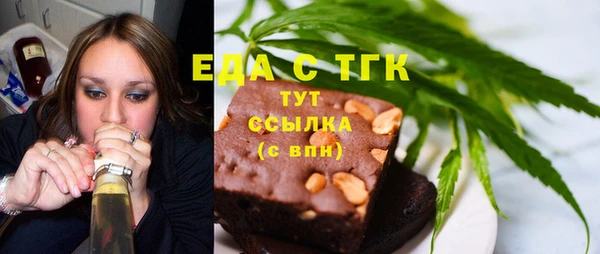 индика Нязепетровск