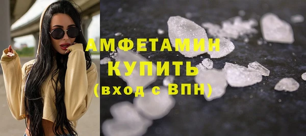 индика Нязепетровск