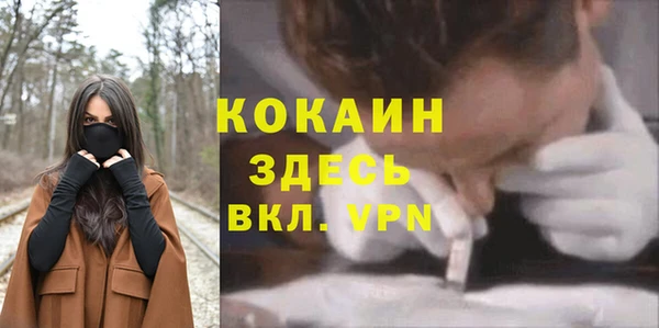 индика Нязепетровск