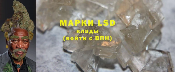 индика Нязепетровск