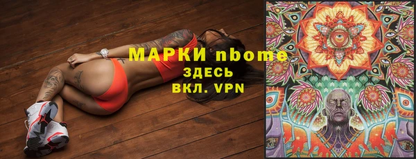 индика Нязепетровск