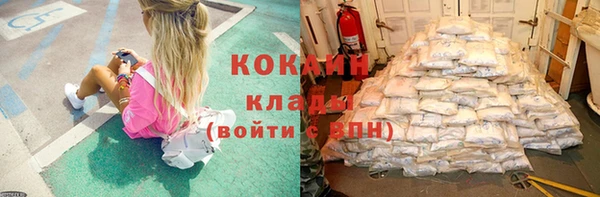 индика Нязепетровск