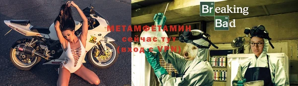 индика Нязепетровск