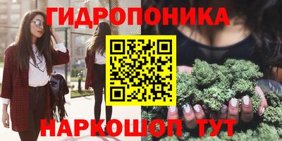 молекула духа Будённовск