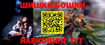 молекула духа Будённовск