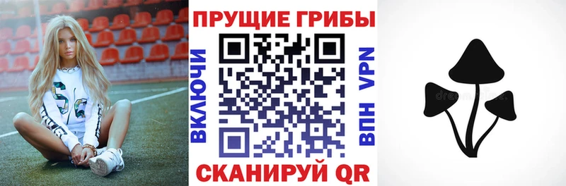 мега вход  Тулун  Галлюциногенные грибы Magic Shrooms 