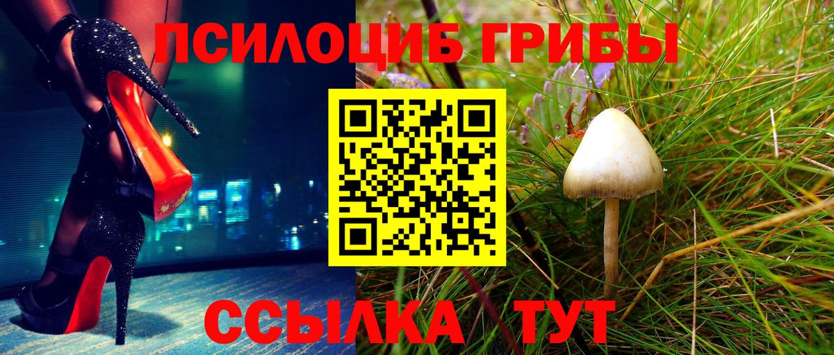 Псилоцибиновые грибы GOLDEN TEACHER Тулун