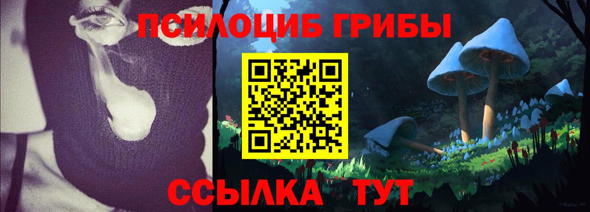Галлюциногенные грибы GOLDEN TEACHER  Вход с VPN  хочу   Тулун 